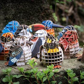 3D Bird Paper Puzzle, Premium Cardboard Models with Bird Sound Device